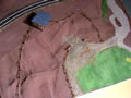 02.12.2006 - Ein Luftbild von der Pferdekoppel. Jetzt muss es langsam mal grün werden.