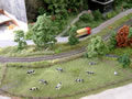 27.04.2008 - Eine kleine Kuhherde am Bahndamm. Leider wurde übersehen, dass die Herden meist zusammen stehen/grasen, was aber der Szene keinen Abbruch tut.